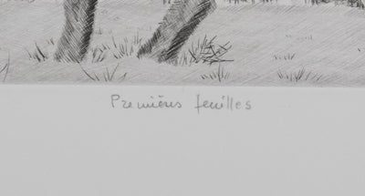 Camille COMBE : Premières feuilles, Gravure originale signée