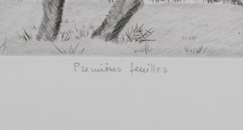 Camille COMBE : Premières feuilles, Gravure originale signée