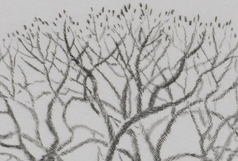 Camille COMBE : Premières feuilles, Gravure originale signée