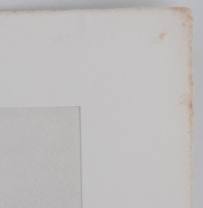 Camille COMBE : Premières feuilles, Gravure originale signée