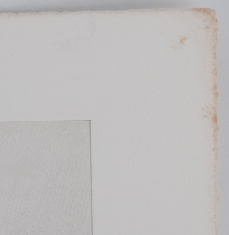 Camille COMBE : Premières feuilles, Gravure originale signée