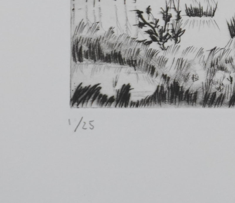 Camille COMBE : Et le vent s&