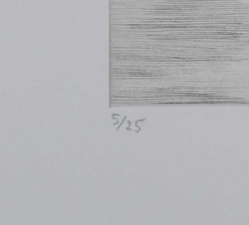 Camille COMBE : Soleil de minuit, Gravure originale signée
