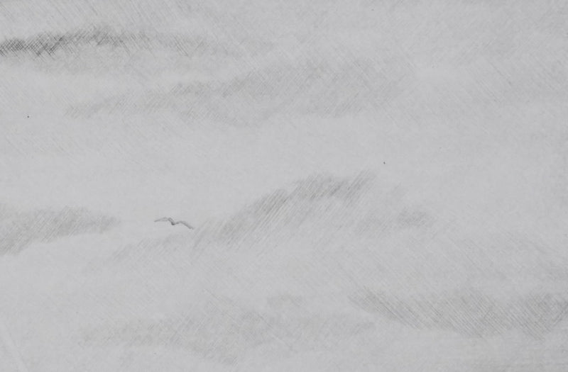 Camille COMBE : Les chemins de lumière, Gravure originale signée