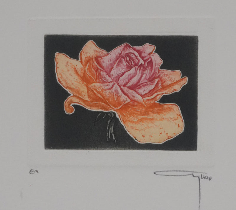 Alfonso AYUSO : La rose orange et rose, Gravure originale signée