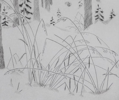 Camille COMBE : En forêt, Gravure originale signée