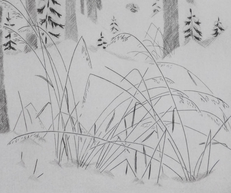 Camille COMBE : En forêt, Gravure originale signée