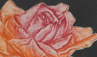 Alfonso AYUSO : La rose orange et rose, Gravure originale signée