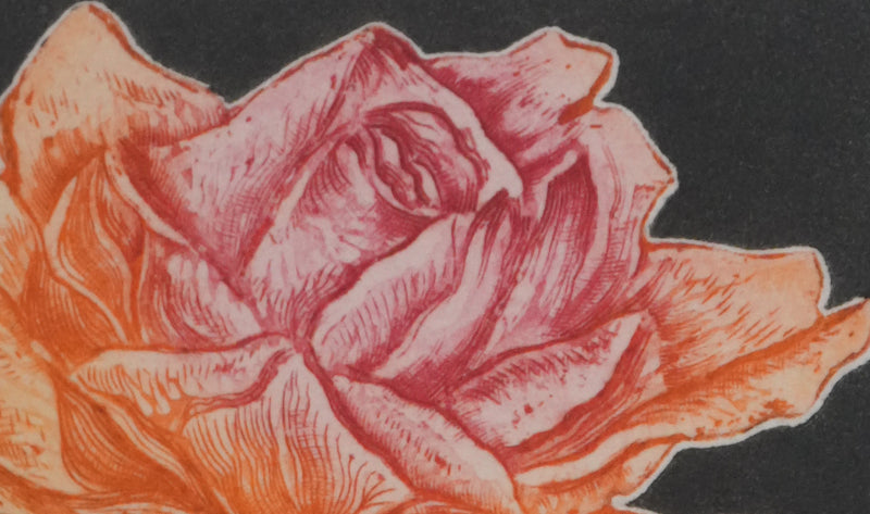 Alfonso AYUSO : La rose orange et rose, Gravure originale signée
