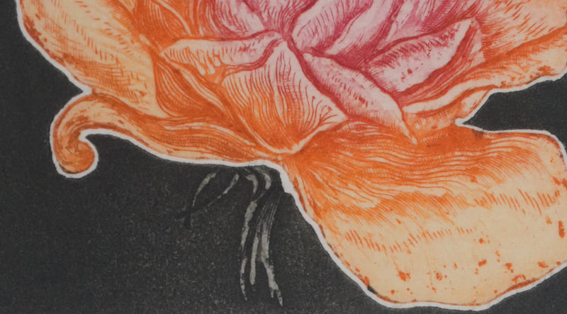 Alfonso AYUSO : La rose orange et rose, Gravure originale signée