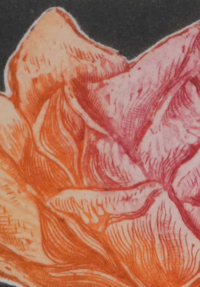 Alfonso AYUSO : La rose orange et rose, Gravure originale signée