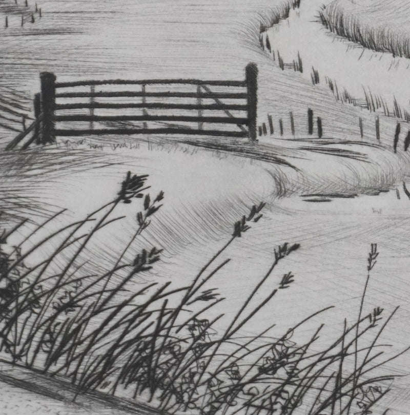 Camille COMBE : A travers les plaines du Nord, Gravure originale signée