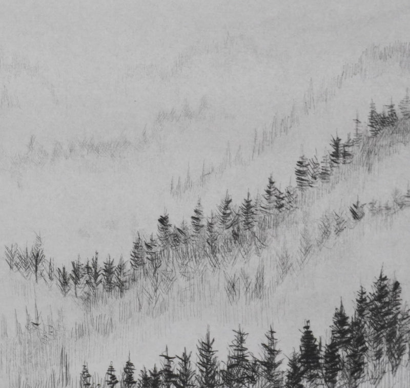 Camille COMBE : Les écharpes et la brume, Gravure originale signée