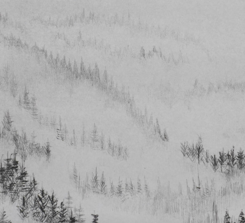 Camille COMBE : Les écharpes et la brume, Gravure originale signée