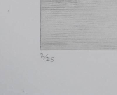 Camille COMBE : La sarabande des nuages, Gravure originale signée