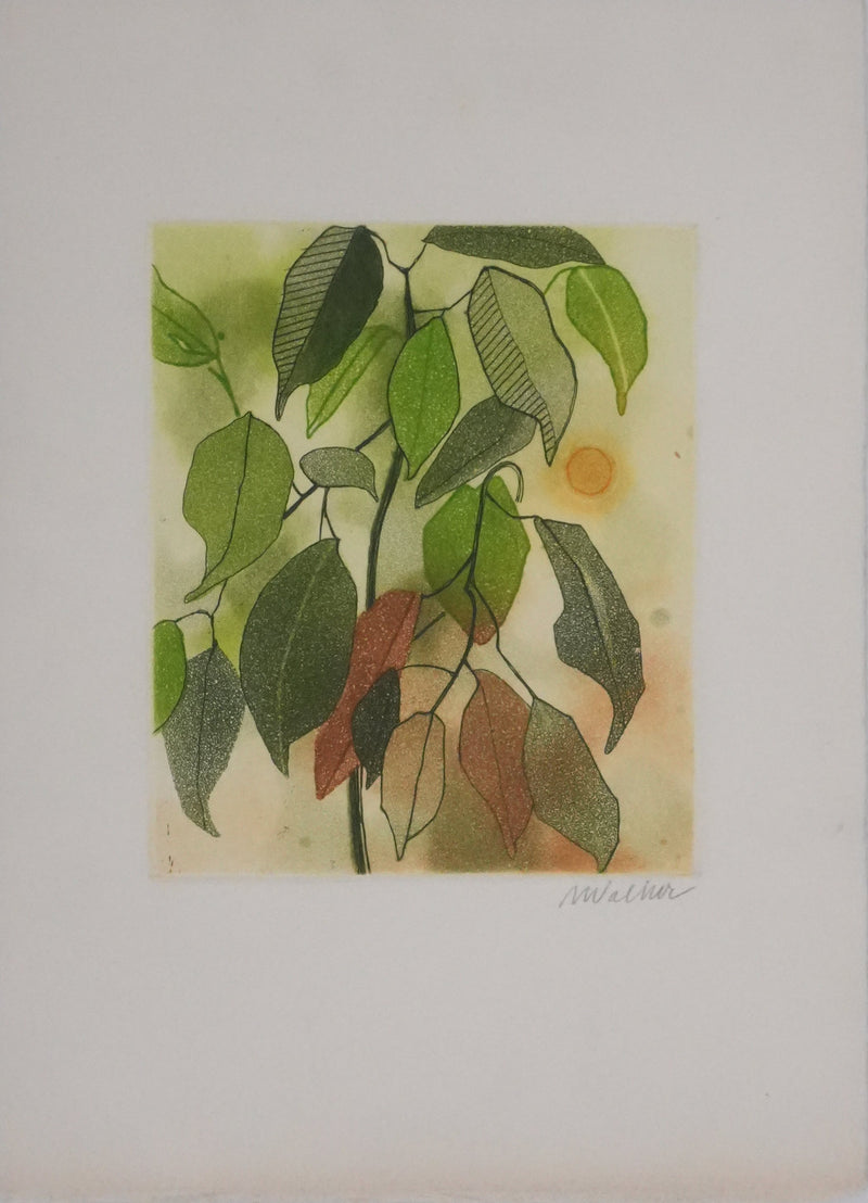 Anne WALKER : Végétation et soleil couchant, Gravure originale signée