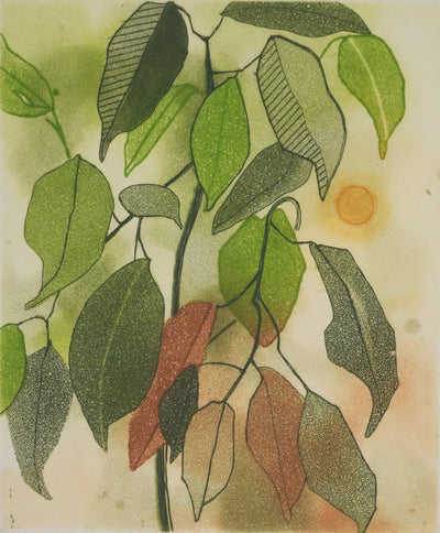 Anne WALKER : Végétation et soleil couchant, Gravure originale signée