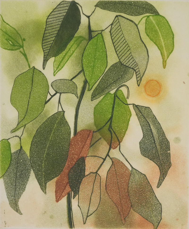 Anne WALKER : Végétation et soleil couchant, Gravure originale signée