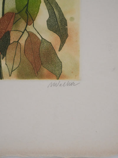 Anne WALKER : Végétation et soleil couchant, Gravure originale signée
