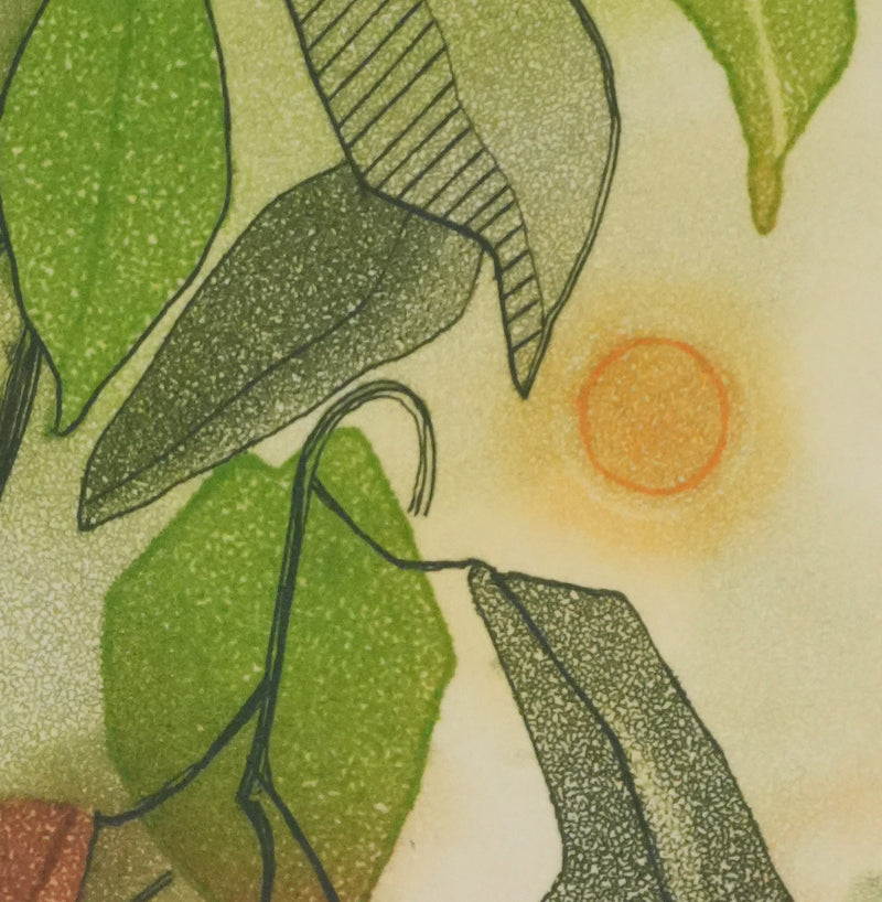 Anne WALKER : Végétation et soleil couchant, Gravure originale signée