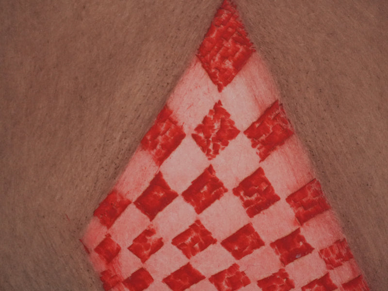 Arthur Luiz PIZA : Le cerf volant rouge et rose, Gravure originale signée