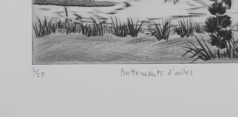 Camille COMBE : Battements d&