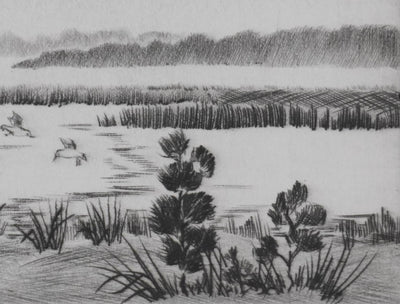 Camille COMBE : Battements d'ailes, Gravure originale signée