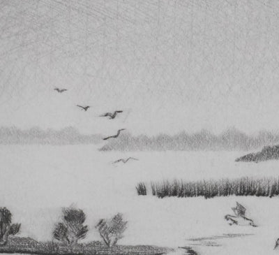 Camille COMBE : Battements d'ailes, Gravure originale signée