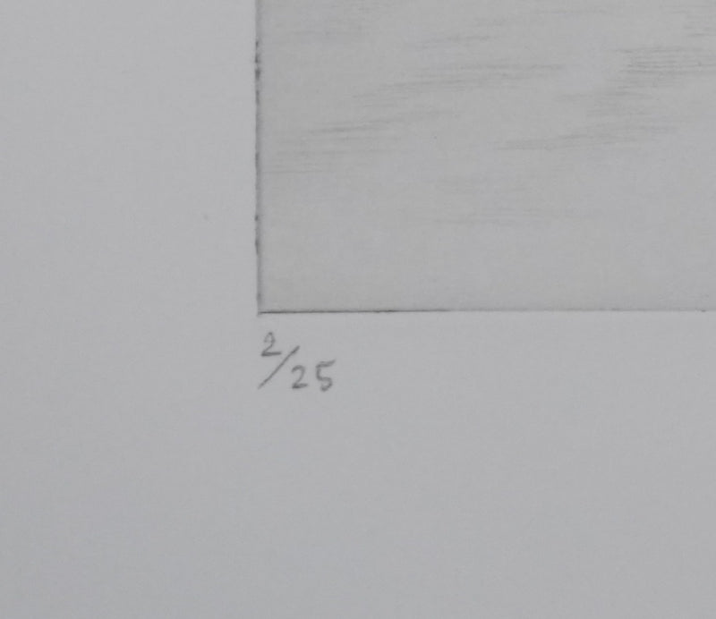 Camille COMBE : Sillages, Gravure originale (photo de détail 7) - Crédit photo : Galerie Art.Paris