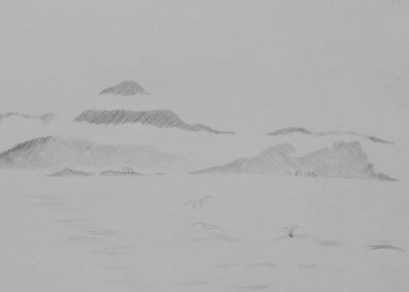 Camille COMBE : Sillages, Gravure originale (photo de détail 5) - Crédit photo : Galerie Art.Paris