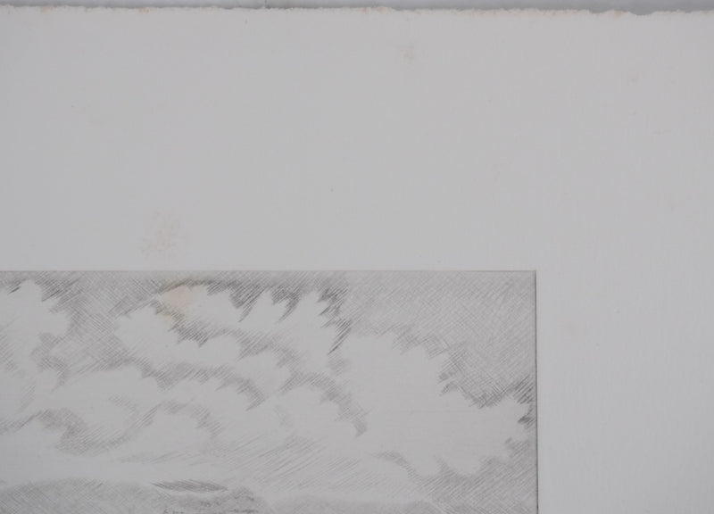 Camille COMBE : Symphonie océane, Gravure originale signée