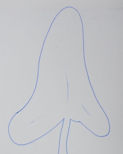 Jean-Louis FUNCK-BRENTANO : L'arbre médical, Autographe et dessin original signé