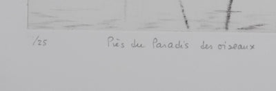 Camille COMBE : Près du paradis des oiseaux, Gravure originale signée