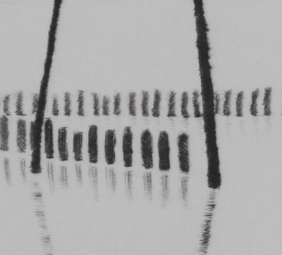 Camille COMBE : Près du paradis des oiseaux, Gravure originale signée