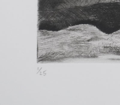 Camille COMBE : Contrastes du Svalbard, Gravure originale signée