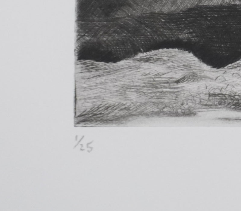 Camille COMBE : Contrastes du Svalbard, Gravure originale signée