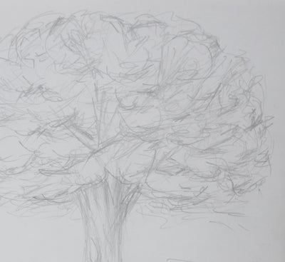 Autographe original de BAEZA (photo de détail 4) - Crédit photo : Galerie Art.Paris