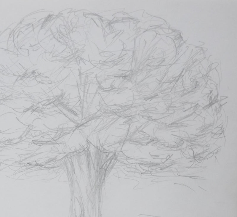 Autographe original de BAEZA (photo de détail 4) - Crédit photo : Galerie Art.Paris