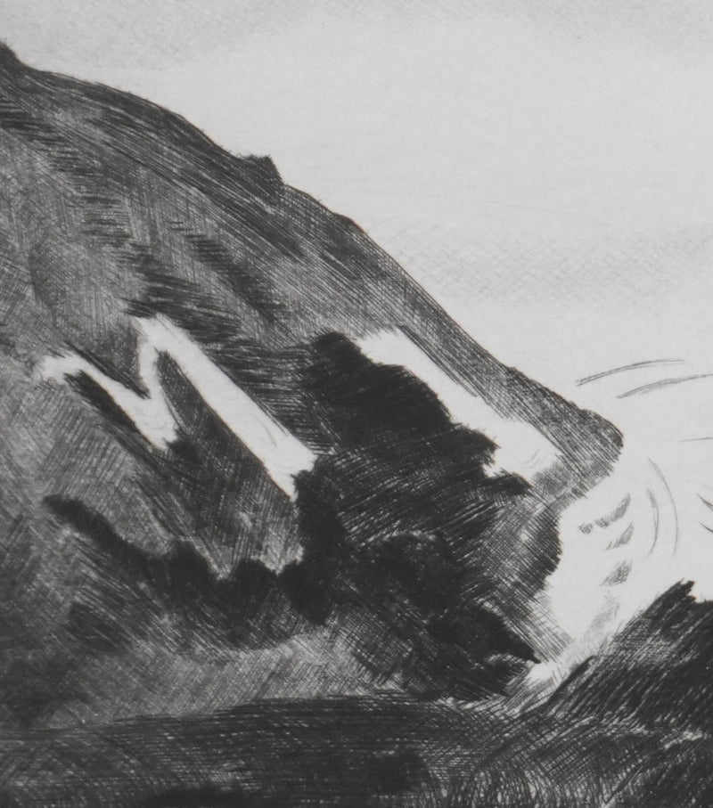 Camille COMBE : Contrastes du Svalbard, Gravure originale signée