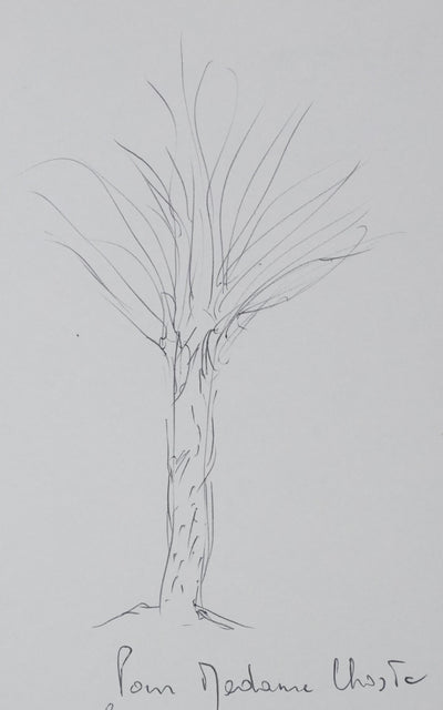 Jean-Pierre MASSON : Arbre en croquis, Autographe et dessin original signé