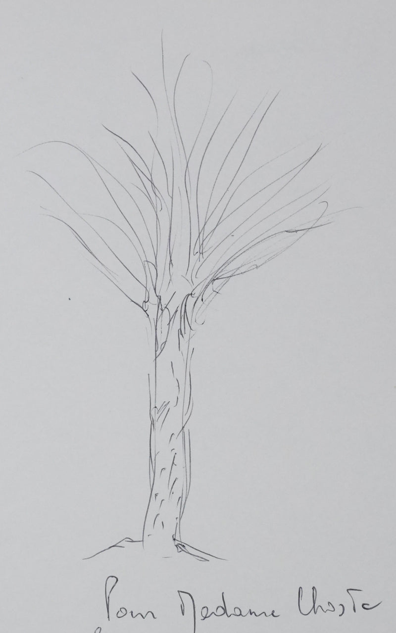 Jean-Pierre MASSON : Arbre en croquis, Autographe et dessin original signé