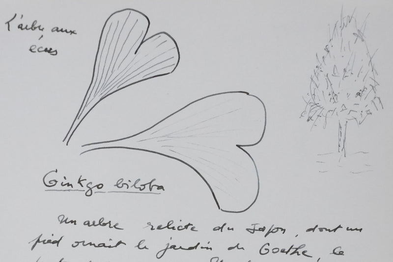 Autographe original de Pierre DELAVEAU (photo de détail 4) - Crédit photo : Galerie Art.Paris