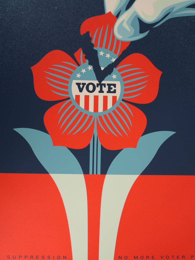 Shepard FAIREY (Obey) : Defend Democraty (large), Sérigraphie originale signée