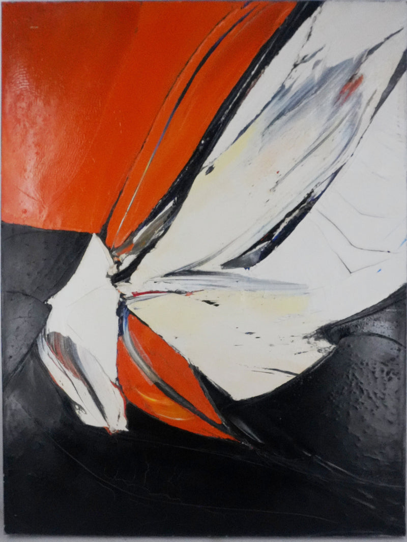 Jan MEIJER : La mouette à Amorgos, Huile sur toile signée