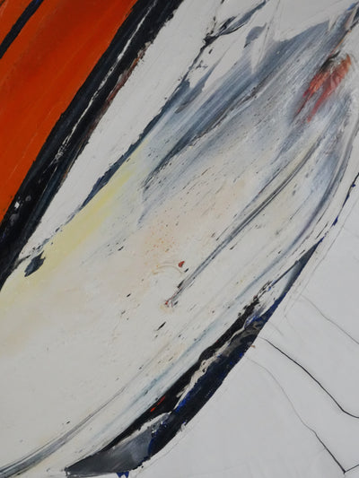 Jan MEIJER : La mouette à Amorgos, Huile sur toile signée