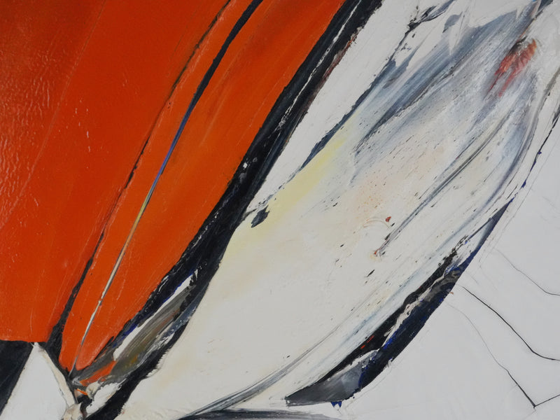 Jan MEIJER : La mouette à Amorgos, Huile sur toile signée