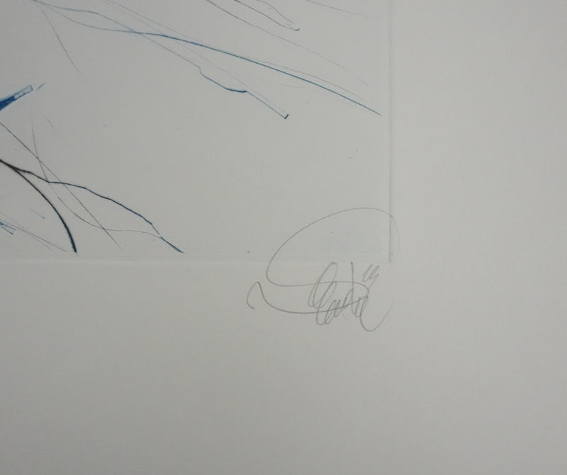 Jean-Baptiste VALADIE : Fleur d’Utopie sur fond gris, Gravure originale signée