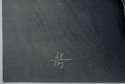 Michel BEZ : Pégase, Lithographie originale signée