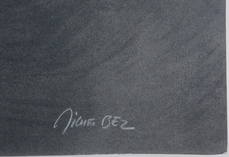 Michel BEZ : Pégase, Lithographie originale signée