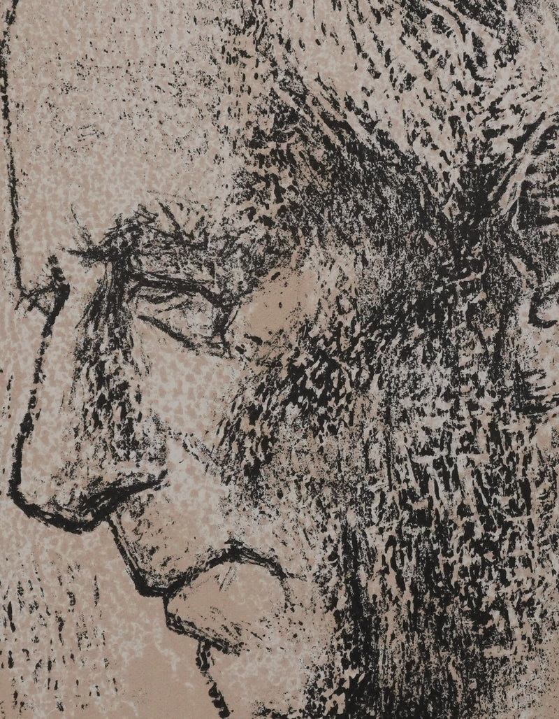 Edouard MAC-AVOY : Le général De Gaulle, Lithographie originale signée